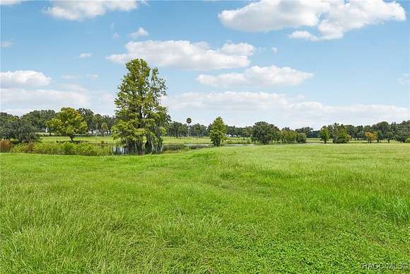 11.85 Acres of Land for Sale in Summerfield, Florida