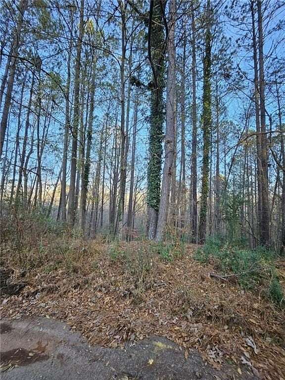 1 Acre of Land for Sale in Snellville, Georgia