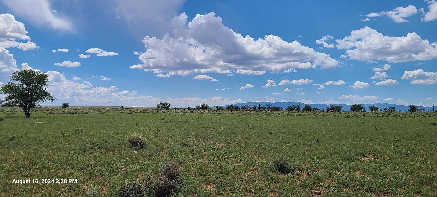 140 Acres of Land for Sale in Willard, New Mexico