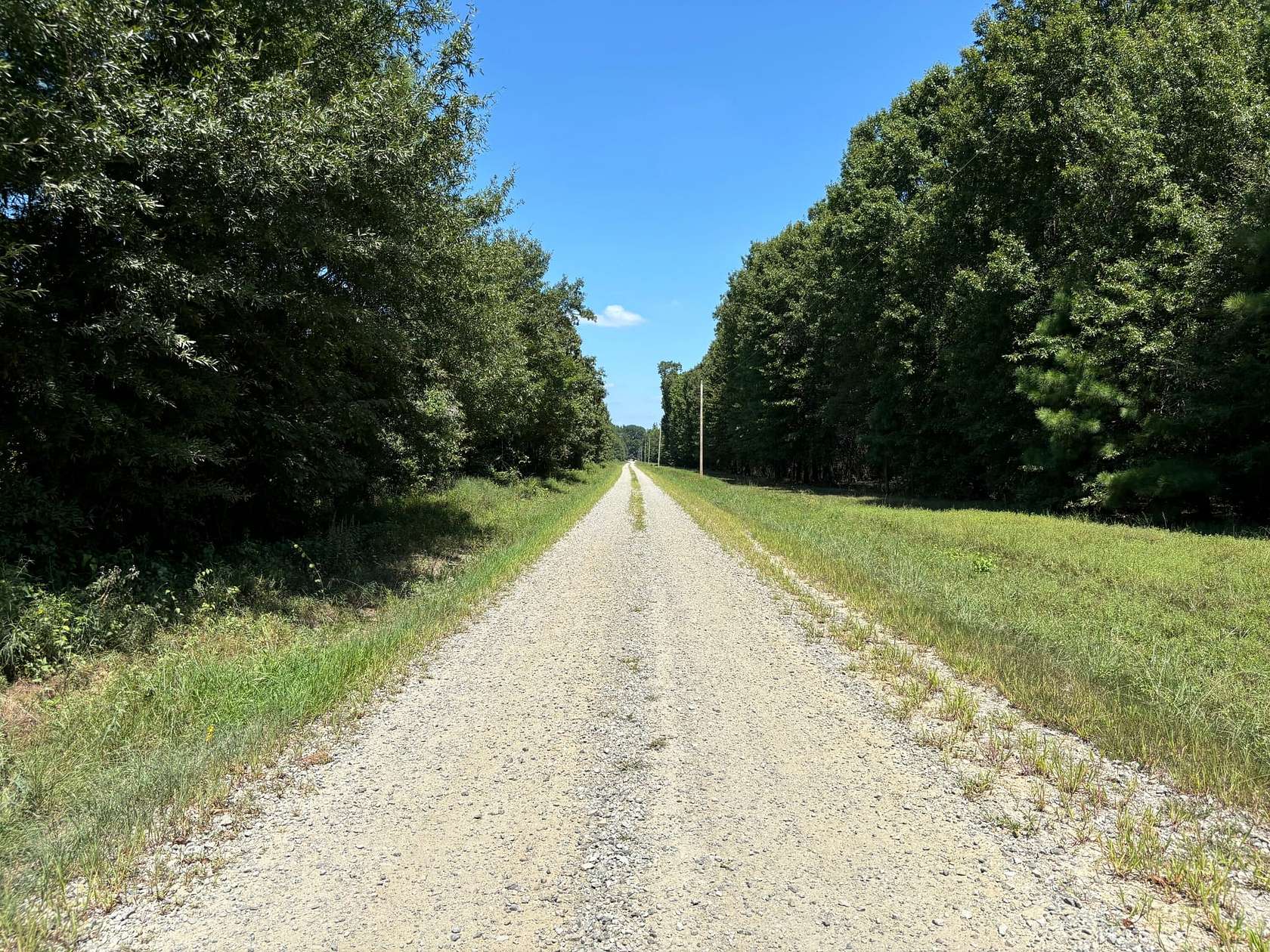 41.43 Acres of Recreational Land for Sale in West Point, Arkansas