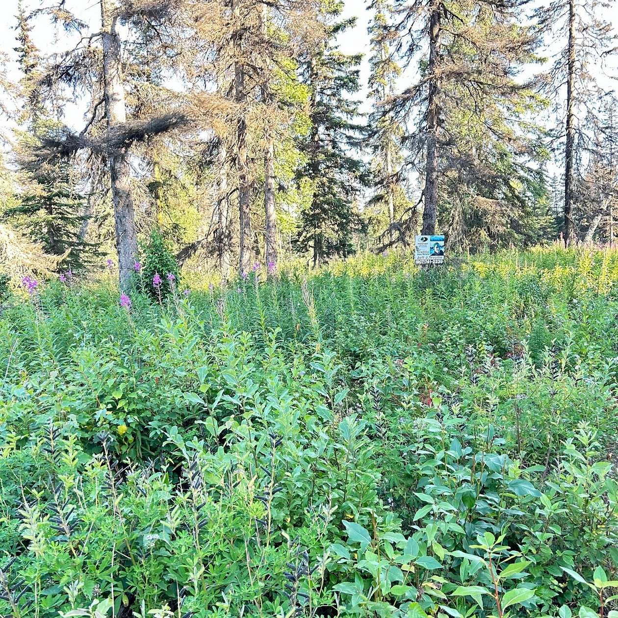 1.9 Acres of Residential Land for Sale in Nikiski, Alaska