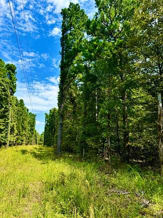 66 Acres of Recreational Land with Home for Sale in Waldron, Arkansas