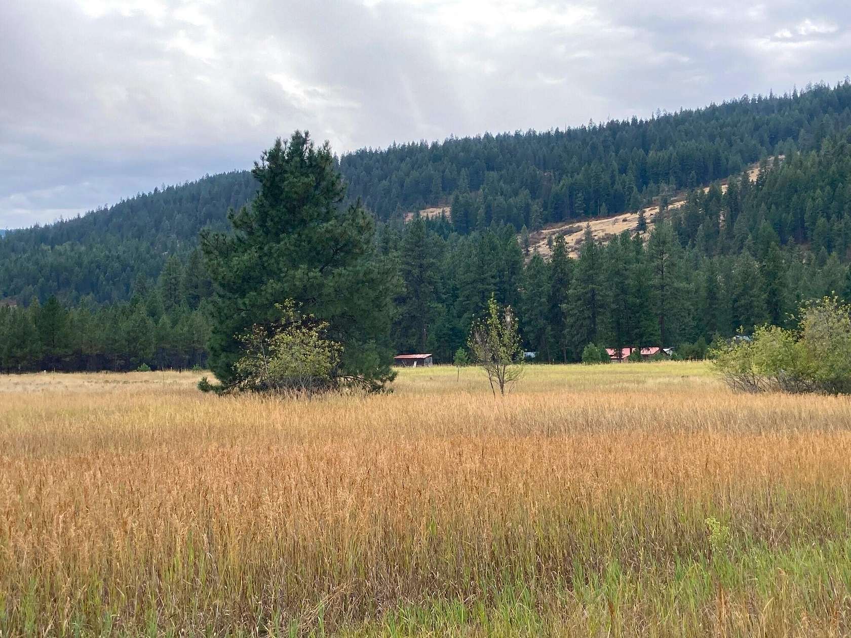 8.1 Acres of Land for Sale in Kettle Falls, Washington