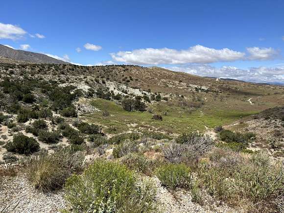 9.5 Acres of Land for Sale in Juniper Hills, California