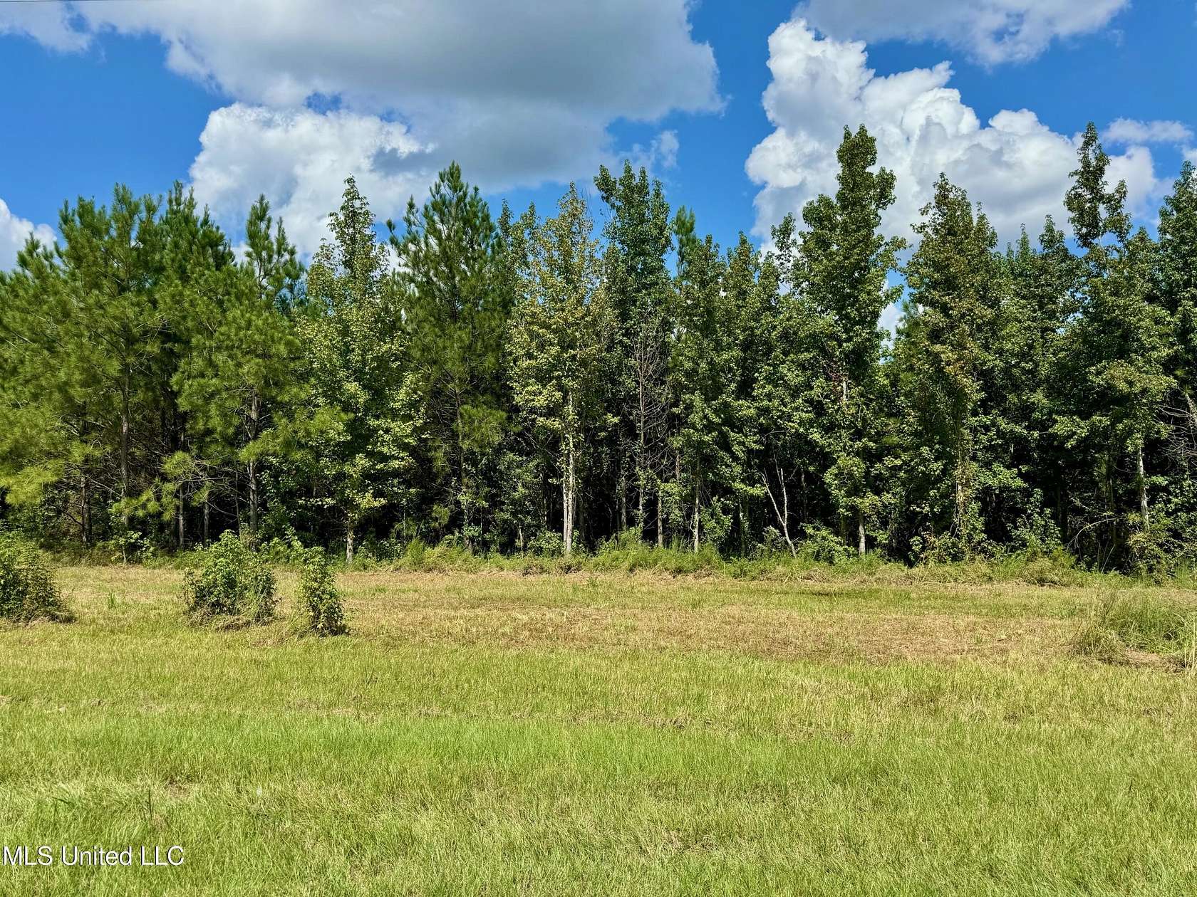 2 Acres of Land for Sale in Madison, Mississippi