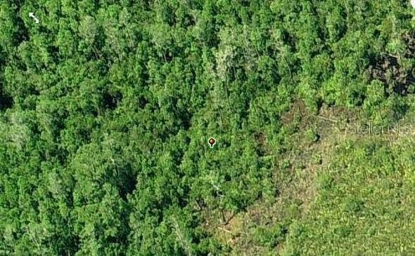 1.2 Acres of Residential Land for Sale in Orlando, Florida