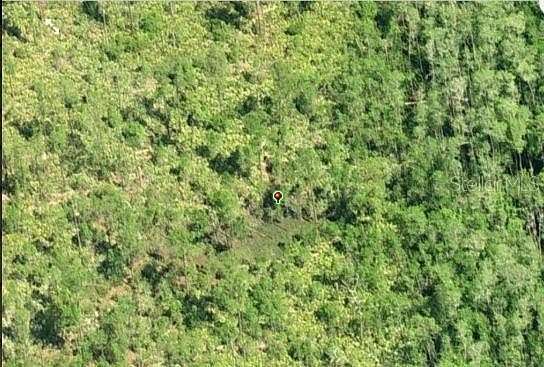 1.23 Acres of Residential Land for Sale in Orlando, Florida