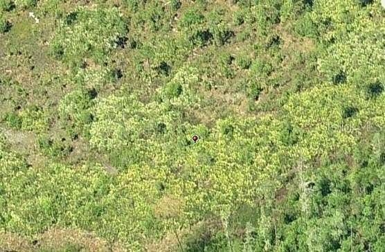 1.2 Acres of Residential Land for Sale in Orlando, Florida