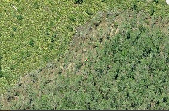 2.15 Acres of Residential Land for Sale in Orlando, Florida