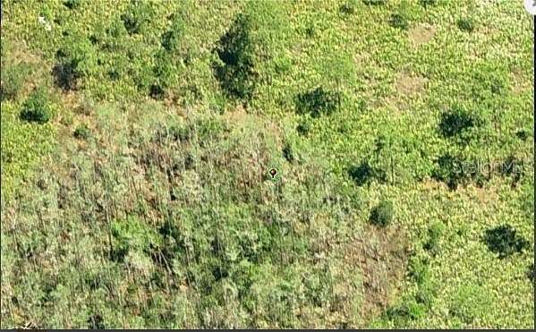 1.25 Acres of Residential Land for Sale in Orlando, Florida