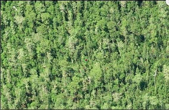 1.2 Acres of Residential Land for Sale in Orlando, Florida