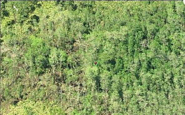1.2 Acres of Residential Land for Sale in Orlando, Florida