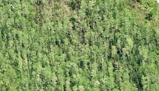 1.24 Acres of Residential Land for Sale in Orlando, Florida