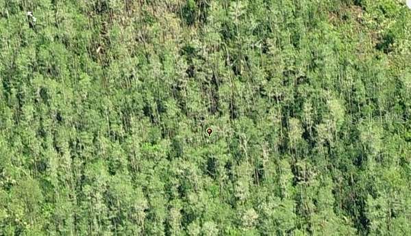 1.24 Acres of Land for Sale in Orlando, Florida