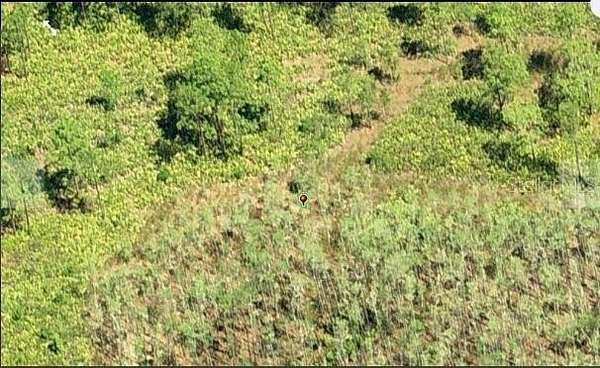 1.25 Acres of Residential Land for Sale in Orlando, Florida