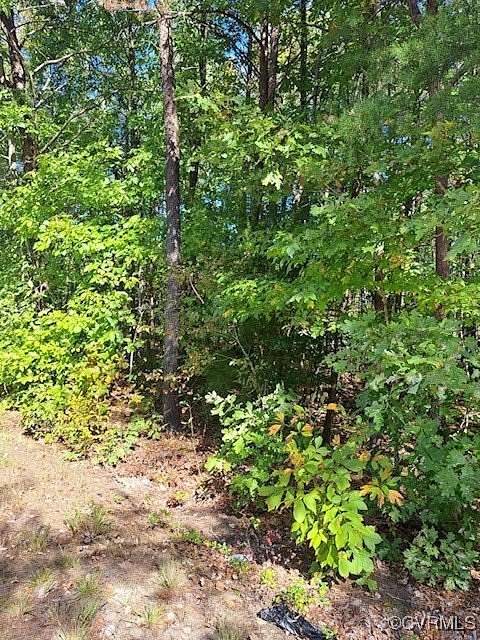 16.55 Acres of Land for Sale in Ruther Glen, Virginia