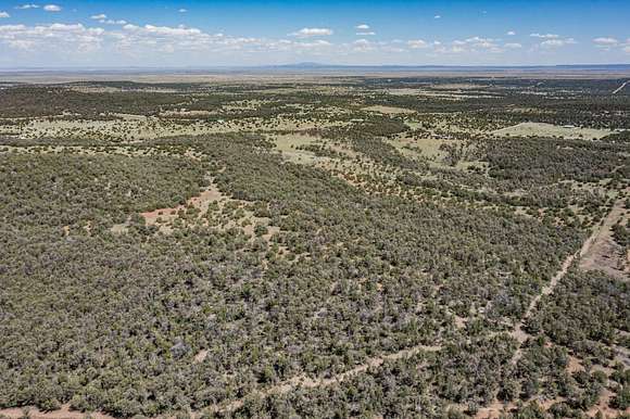 158.69 Acres of Recreational Land for Sale in Estancia, New Mexico