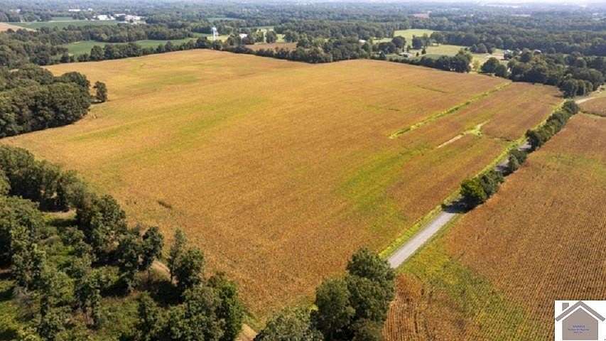 44 Acres of Agricultural Land for Sale in Hazel, Kentucky