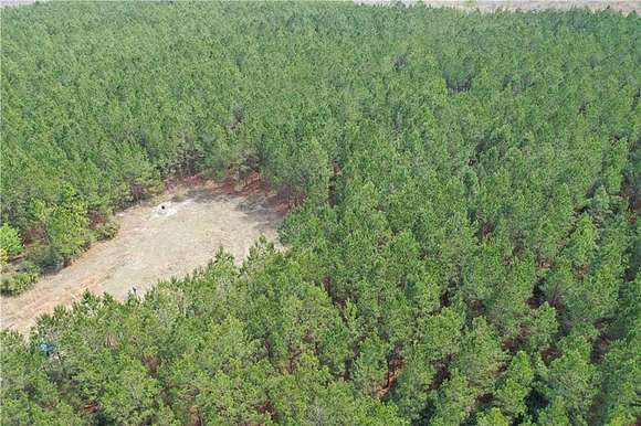 167.67 Acres of Recreational Land & Farm for Sale in Waycross, Georgia