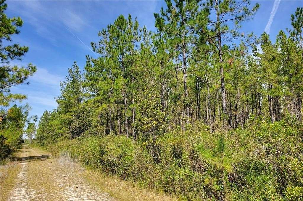 97.94 Acres of Land for Sale in Waycross, Georgia