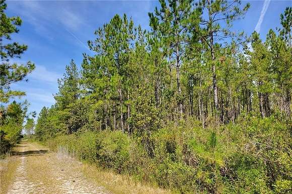 97.94 Acres of Land for Sale in Waycross, Georgia