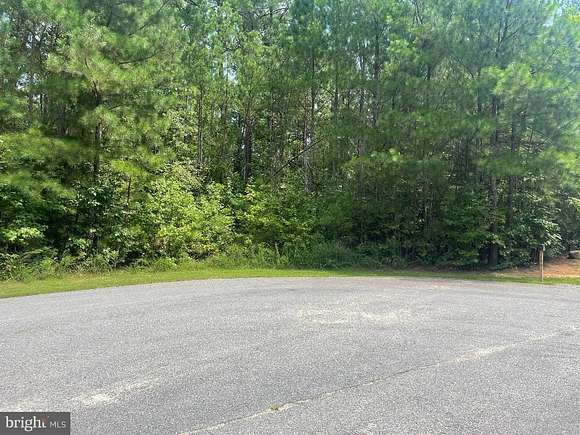 2.5 Acres of Residential Land for Sale in Mineral, Virginia