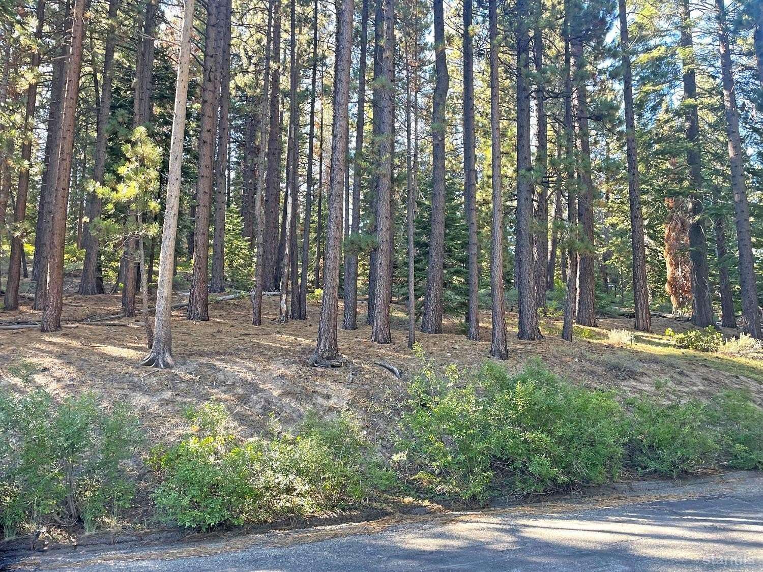 0.46 Acres of Residential Land for Sale in South Lake Tahoe, California