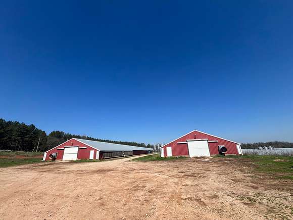 10 Acres of Agricultural Land for Sale in Ashland, Alabama