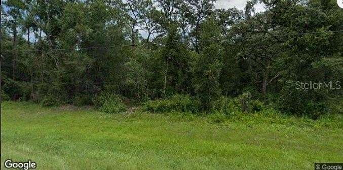 0.35 Acres of Residential Land for Sale in Webster, Florida
