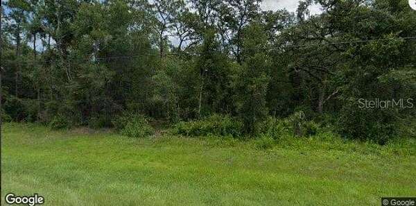 0.35 Acres of Residential Land for Sale in Webster, Florida