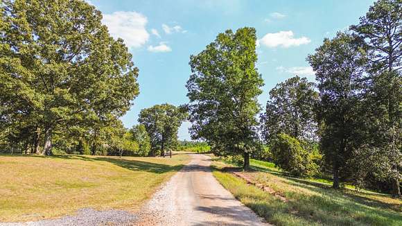 19 Acres of Land for Sale in Carthage, Mississippi