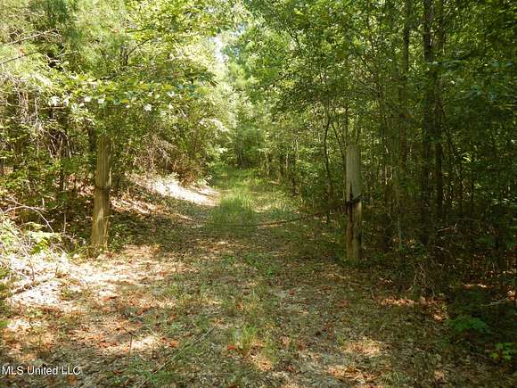 67.4 Acres of Recreational Land for Sale in De Kalb, Mississippi