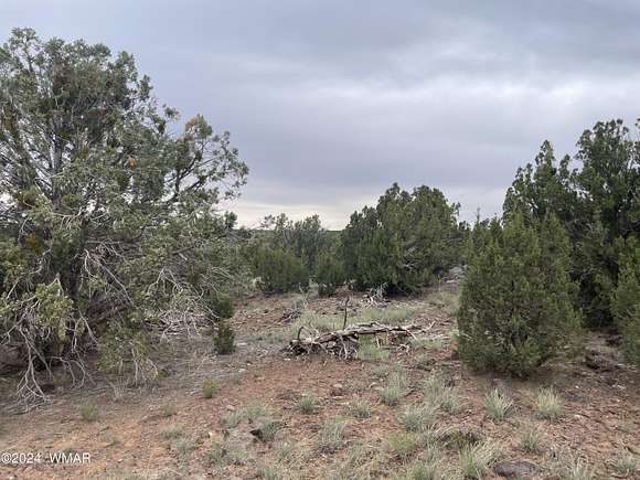 1 Acre of Land for Sale in Concho, Arizona