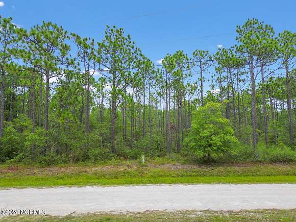 0.28 Acres of Residential Land for Sale in Boiling Spring Lakes, North Carolina