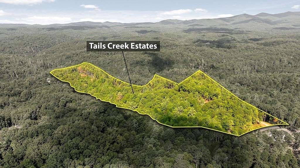 42.81 Acres of Land for Sale in Ellijay, Georgia