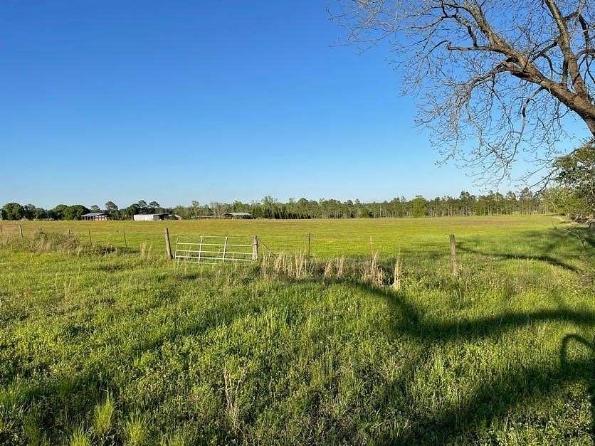 24.94 Acres of Agricultural Land for Sale in Blakely, Georgia