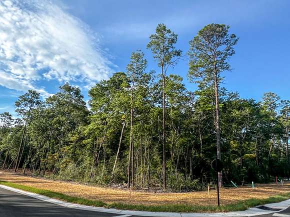 0.25 Acres of Mixed-Use Land for Sale in Niceville, Florida