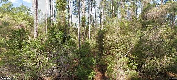 0.23 Acres of Residential Land for Sale in Georgetown, Florida