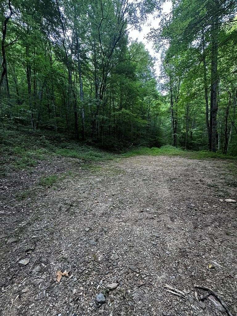 17.115 Acres of Recreational Land for Sale in Bryson City, North Carolina