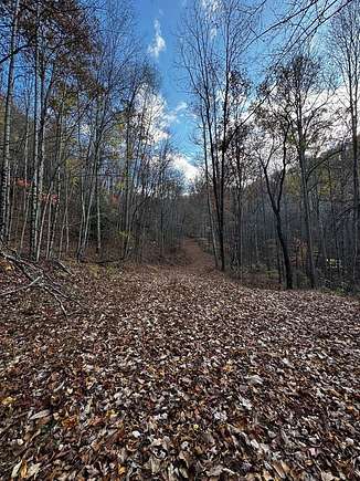 17.115 Acres of Recreational Land for Sale in Bryson City, North Carolina