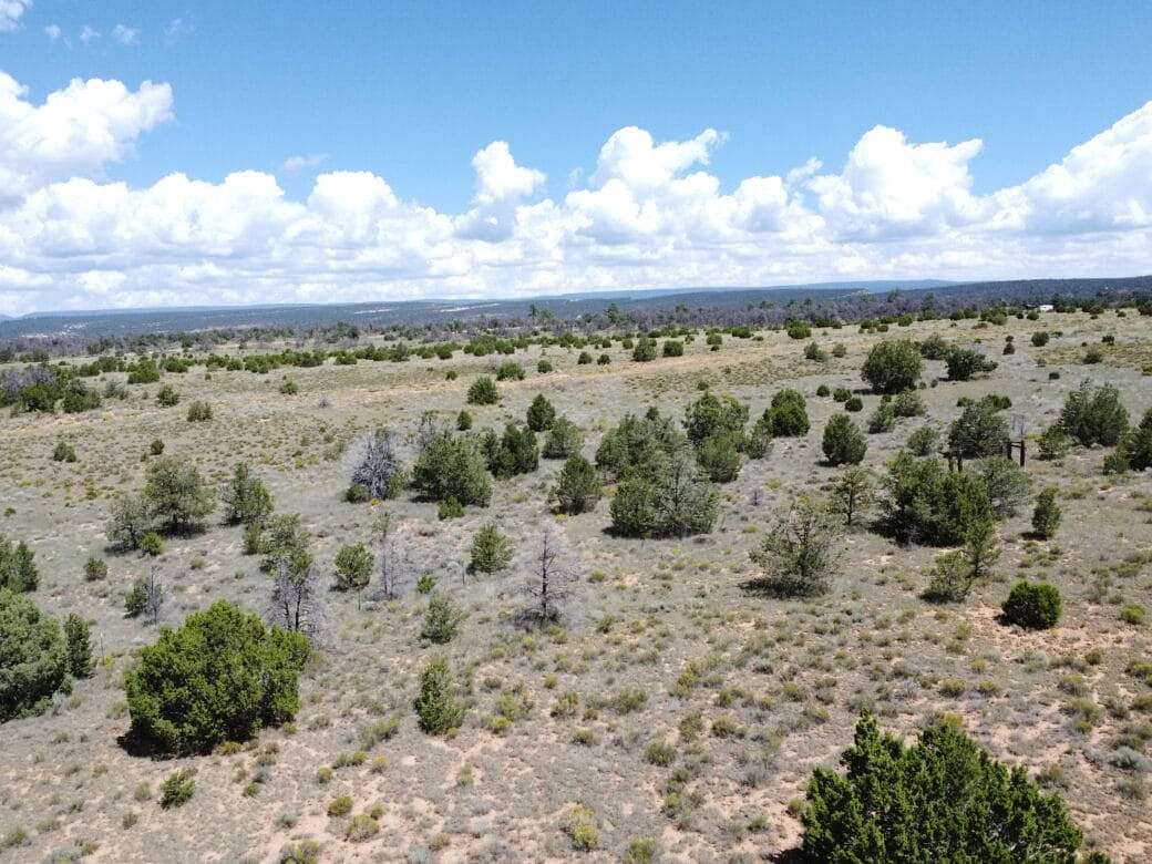 5.07 Acres of Residential Land for Sale in Pinehill, New Mexico