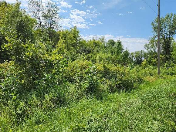 6.01 Acres of Land for Sale in Medina, Minnesota