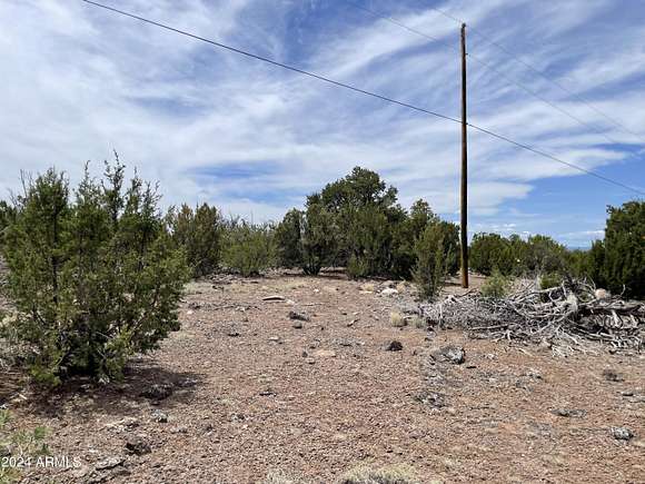 5.02 Acres of Residential Land for Sale in Vernon, Arizona