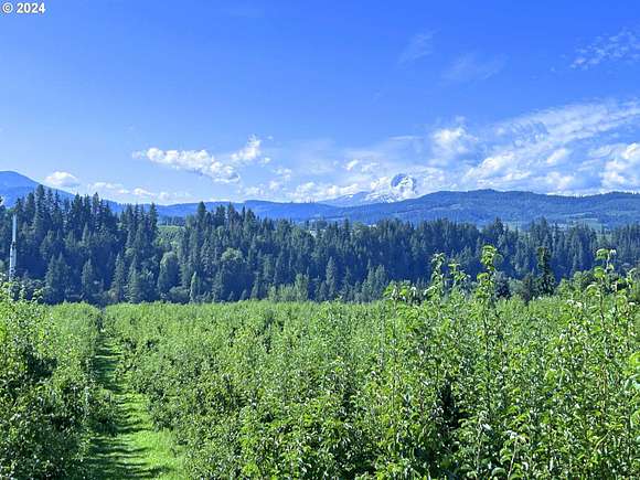 20 Acres of Agricultural Land for Sale in Hood River, Oregon