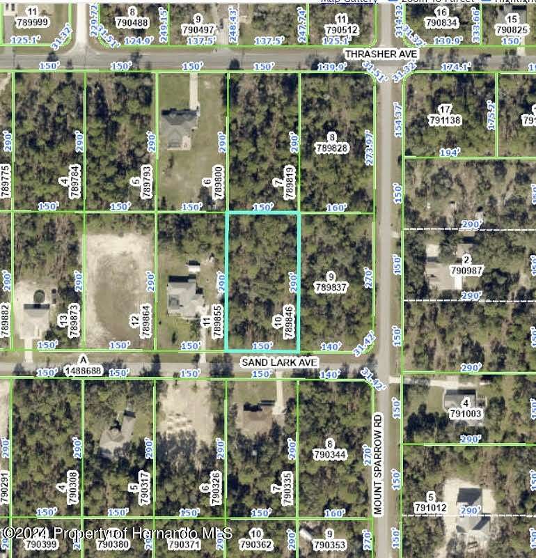 1 Acre of Residential Land for Sale in Weeki Wachee, Florida