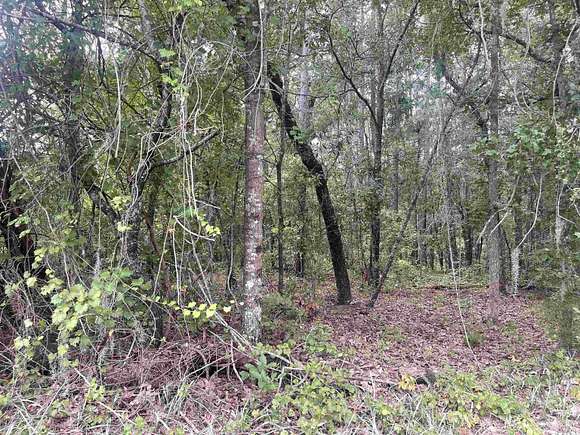 0.51 Acres of Residential Land for Sale in Conway, South Carolina