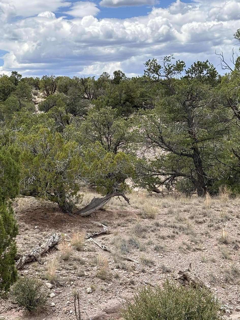 31.09 Acres of Land for Sale in Magdalena, New Mexico