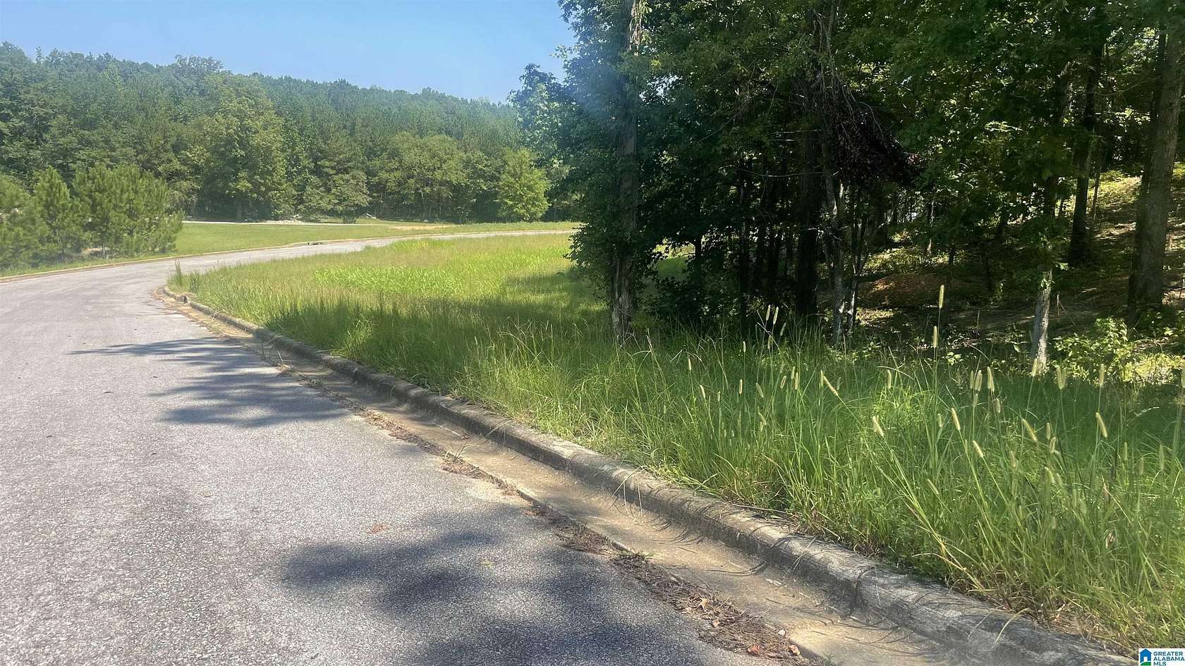 0.95 Acres of Residential Land for Sale in Bessemer, Alabama