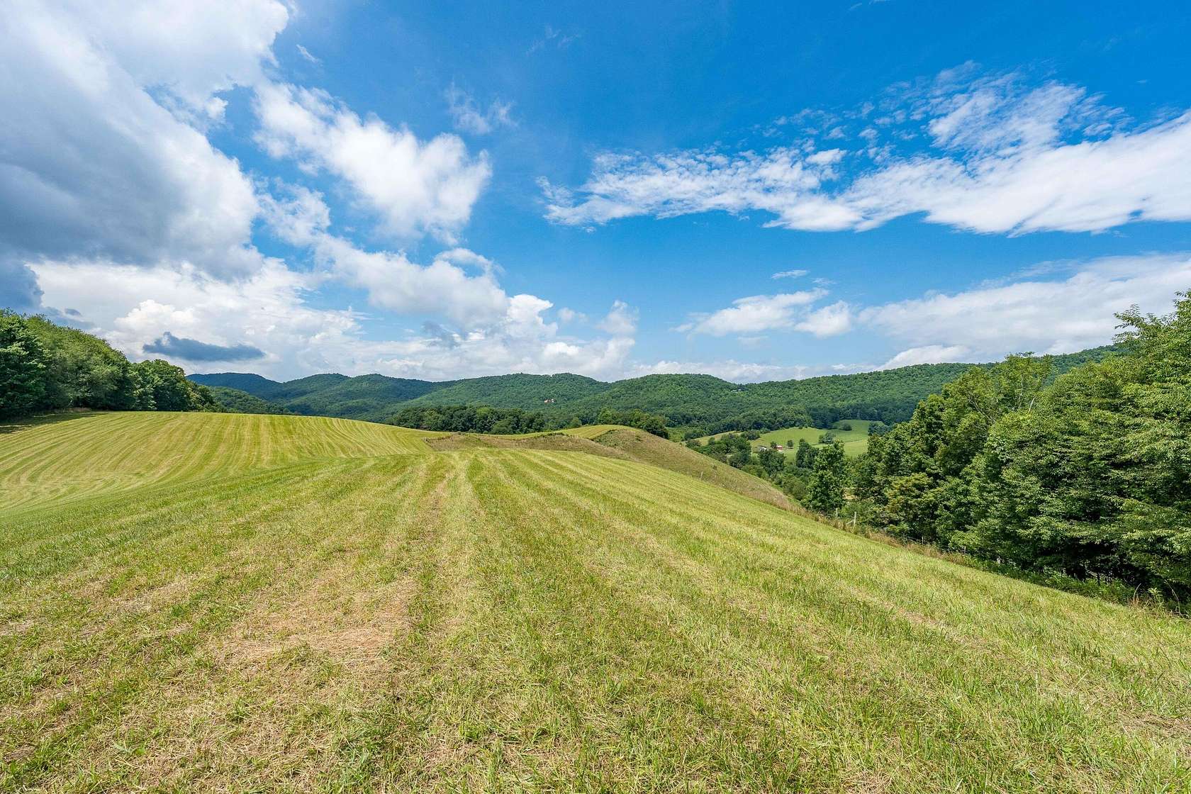 42.21 Acres of Recreational Land & Farm for Sale in Mountain City, Tennessee