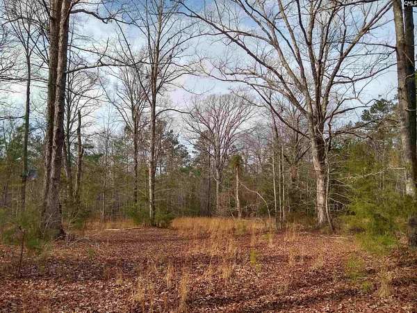 145 Acres of Land for Sale in Winnsboro, South Carolina